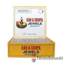 HAV-A-TAMPA JEWELS BİRCHWOOD - 50 ct. BOX PURO