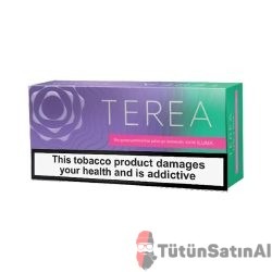 TEREA Mauve IQOS Iluma
