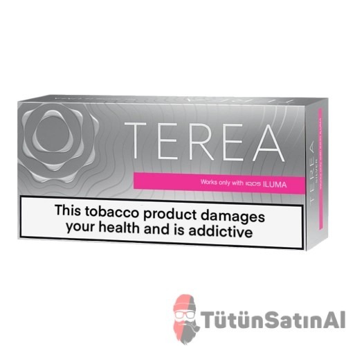 TEREA Silver IQOS Iluma 1 TEREA Silver IQOS Iluma