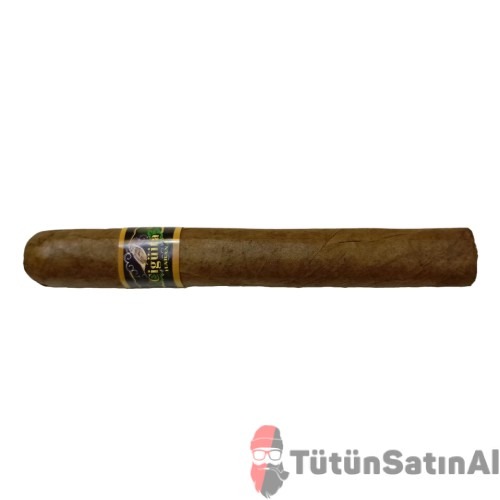 Cigüita Habana Corte Tekli 2 Cigüita Habana Corte Tekli - Görsel 2