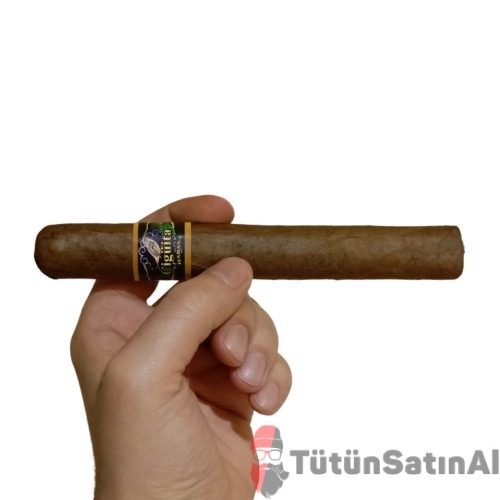 Cigüita Habana Corte Tekli 3 Cigüita Habana Corte Tekli - Görsel 3