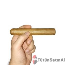 Mj Frias Cigars  (6x60)