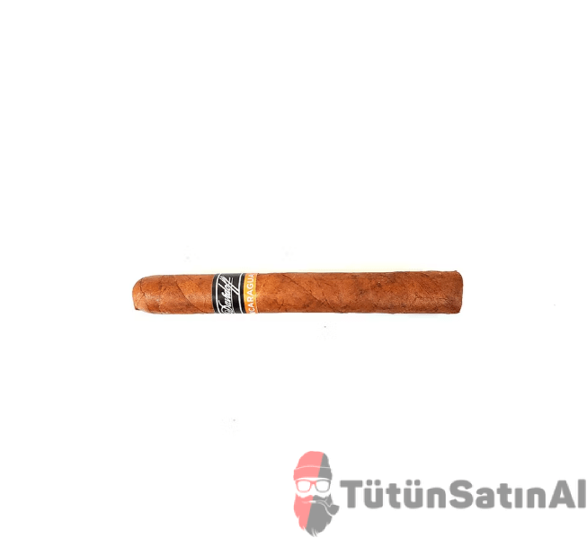 Davidoff Primeros Nicaragua 3 Davidoff Primeros Nicaragua - Görsel 3