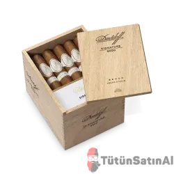 Davidoff Signature 6000