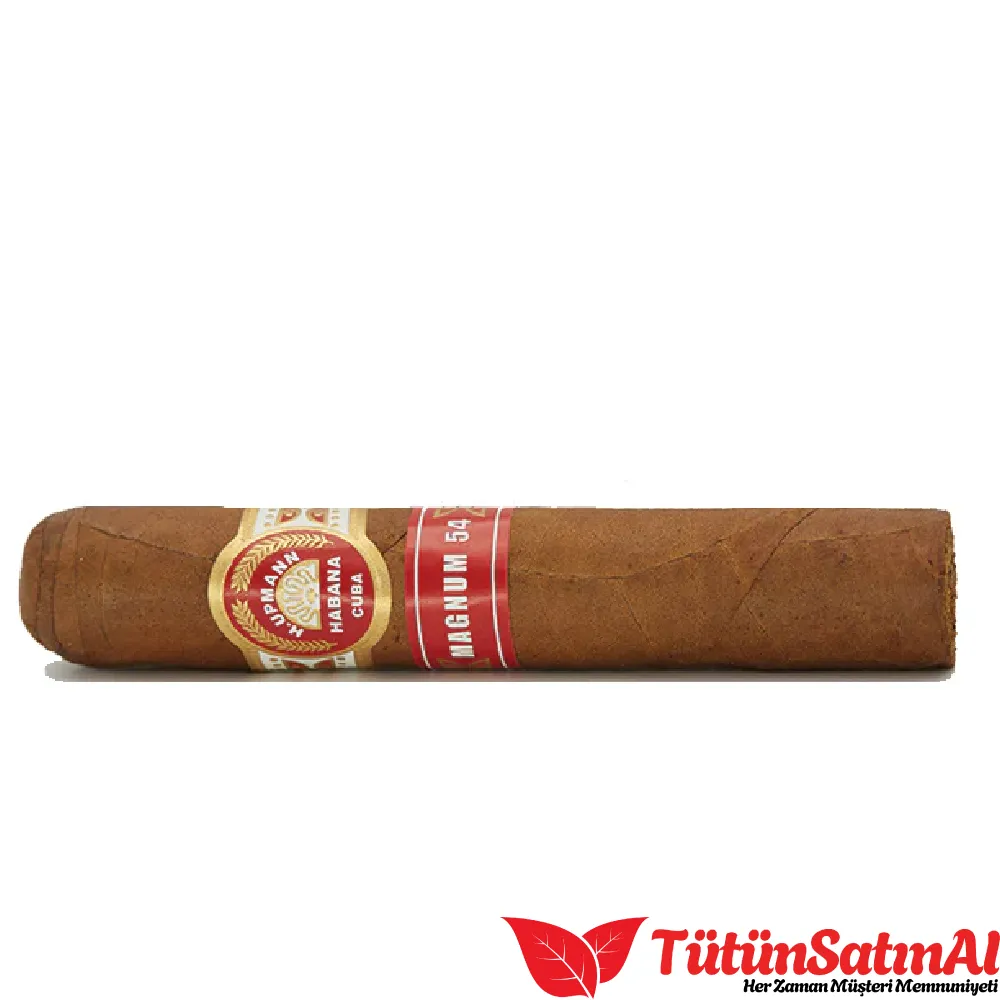 H. Upmann Magnum 54 10's Puro 2 H. Upmann Magnum 54 10's Puro - Görsel 2