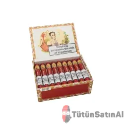 Bolivar Tubos No.2 Tubos Puro 25’s