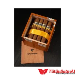 Cohiba Robustos 25’s Puro