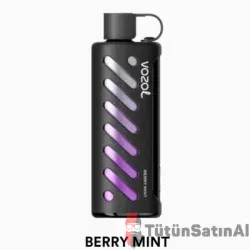 Vozol Gear Sisha 25000 Berry Mint