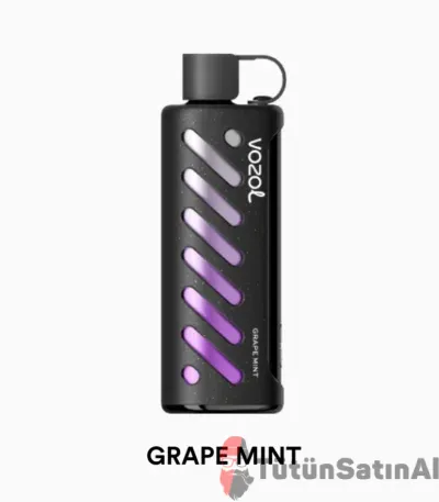 Vozol Gear Sisha 25000 Grape Mint 1 Vozol Gear Sisha 25000 Grape Mint