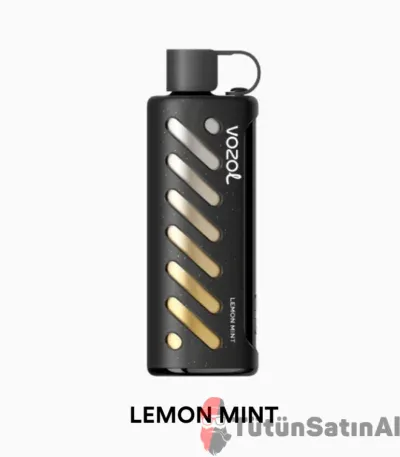 Vozol Gear Sisha 25000 Lemon Mint 1 Vozol Gear Sisha 25000 Lemon Mint