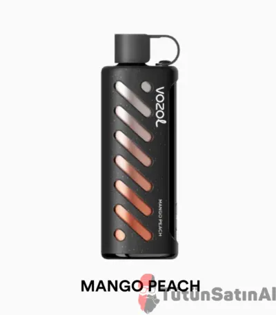 Vozol Gear Sisha 25000 Mango Peach 1 Vozol Gear Sisha 25000 Mango Peach
