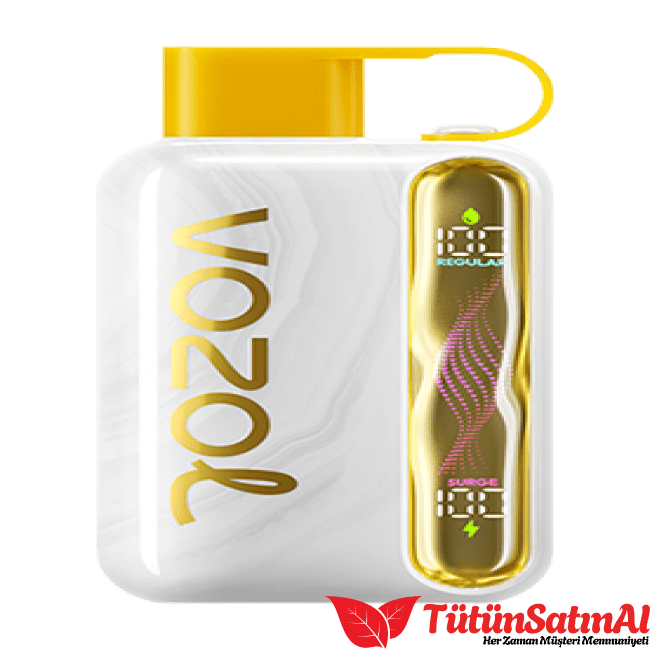 Vozol Star 40000 Mango Ice 1 Vozol Star 40000 Mango Ice