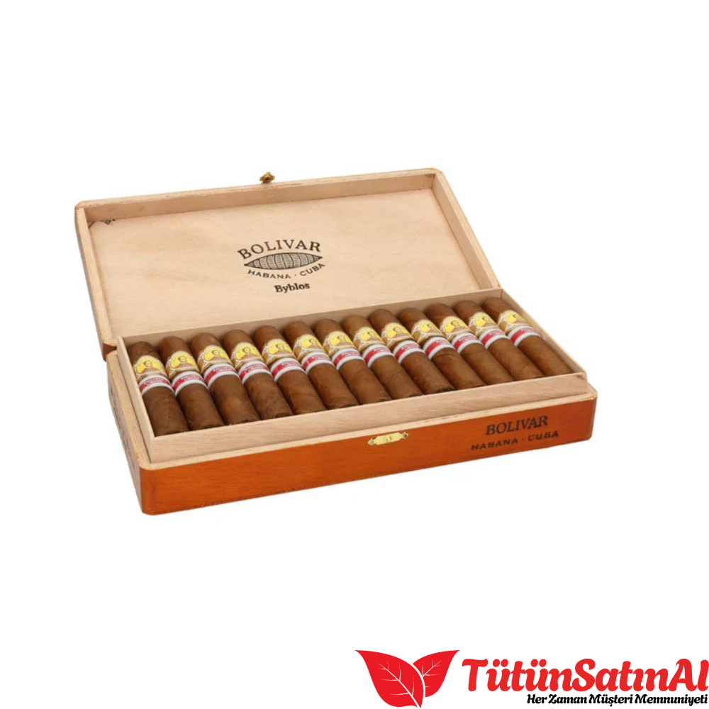 Bolivar Byblos Exclusivo Libano 1 Bolivar Byblos Exclusivo Libano