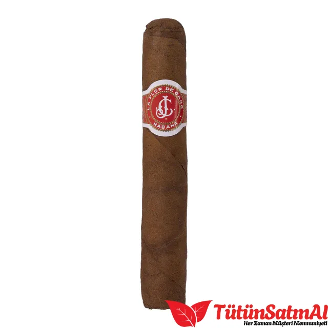 La Flor de Cano Elegidos Puro 2 La Flor de Cano Elegidos Puro - Görsel 2