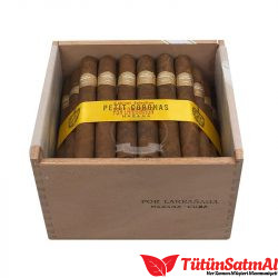 Por Larrañaga Petit Coronas 50' Puro