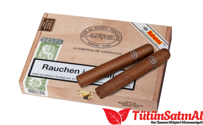 Rafael Gonzalez Coronas de Lonsdale Puro 3 Rafael Gonzalez Coronas de Lonsdale Puro - Görsel 3