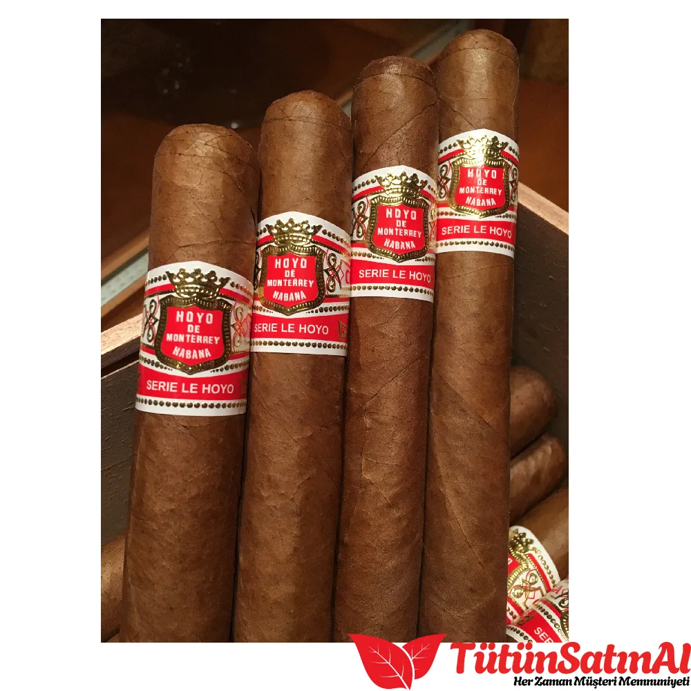 Hoyo de Monterrey Rio Seco 10's Puro 2 Hoyo de Monterrey Rio Seco 10's Puro - Görsel 2