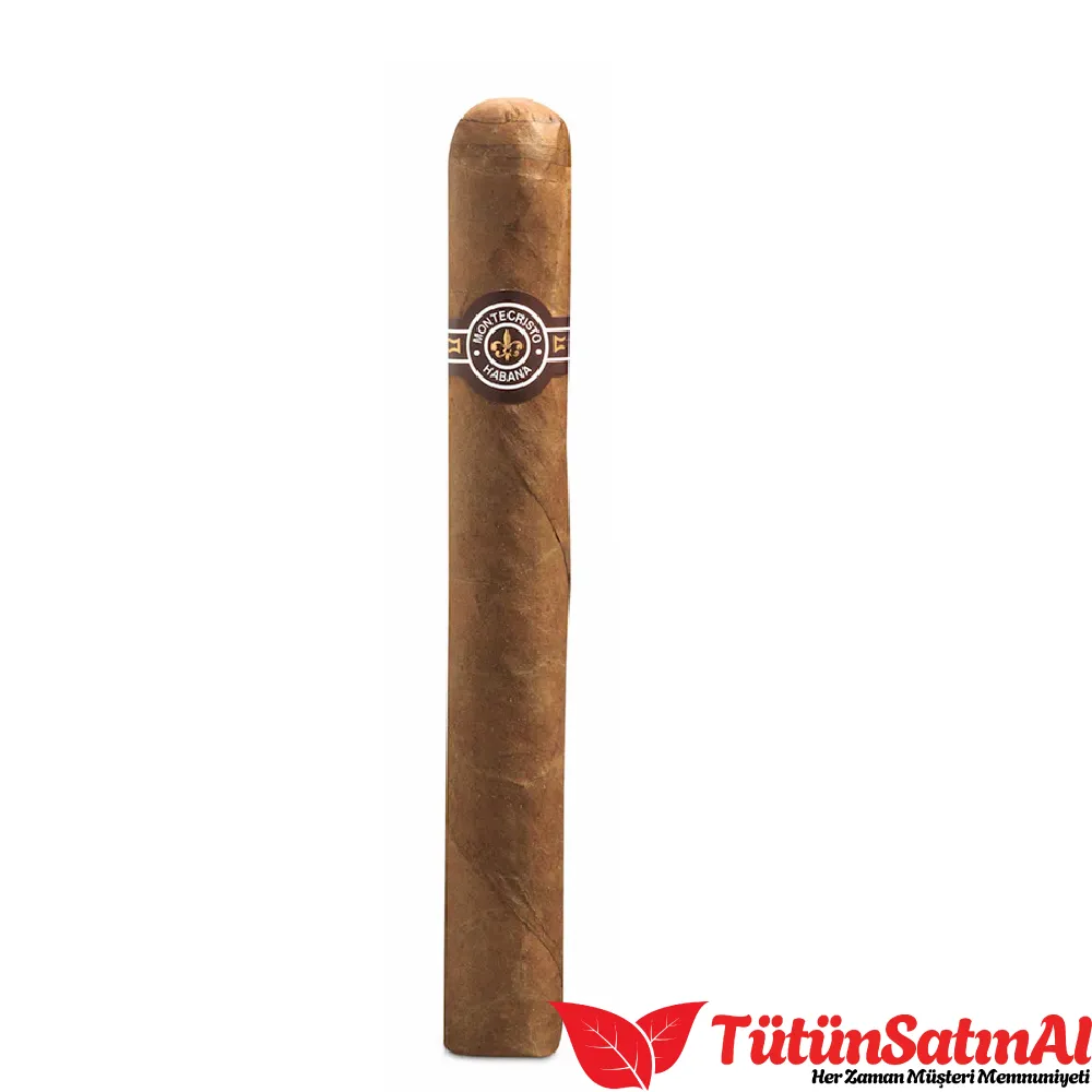 Montecristo Double Edmundo 10's Puro 2 Montecristo Double Edmundo 10's Puro - Görsel 2