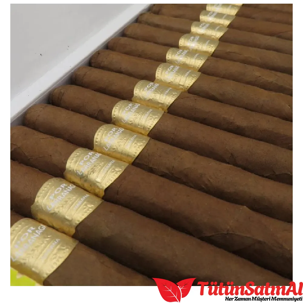 Por Larrañaga Montecarlos 25's Puro 2 Por Larrañaga Montecarlos 25's Puro - Görsel 2