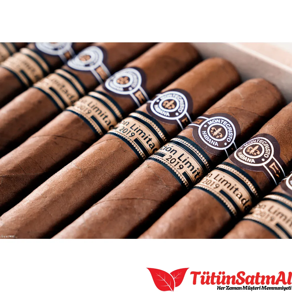 Romeo y Julieta Short Churchill - 25's Puro 3 Romeo y Julieta Short Churchill - 25's Puro - Görsel 3