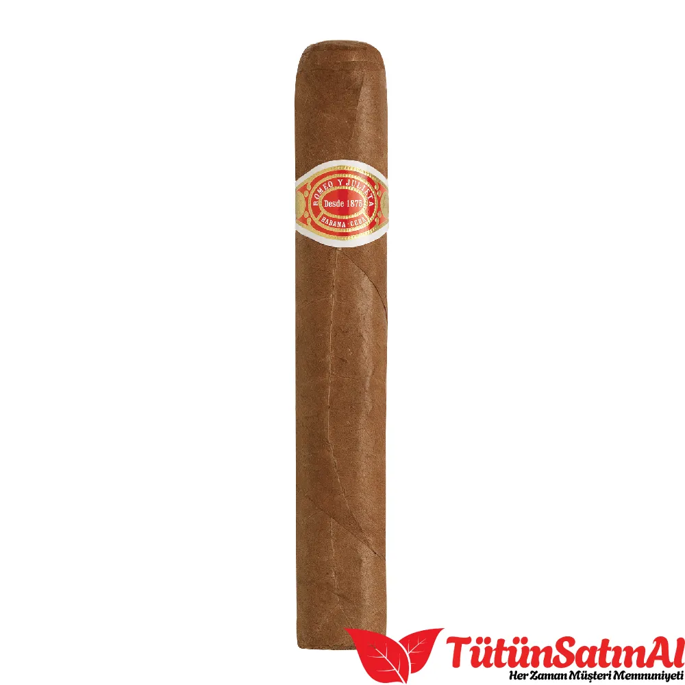 Romeo Y Julieta Medallas de Oro Vintage III Puro - 1 adet 1 Romeo Y Julieta Medallas de Oro Vintage III Puro - 1 adet