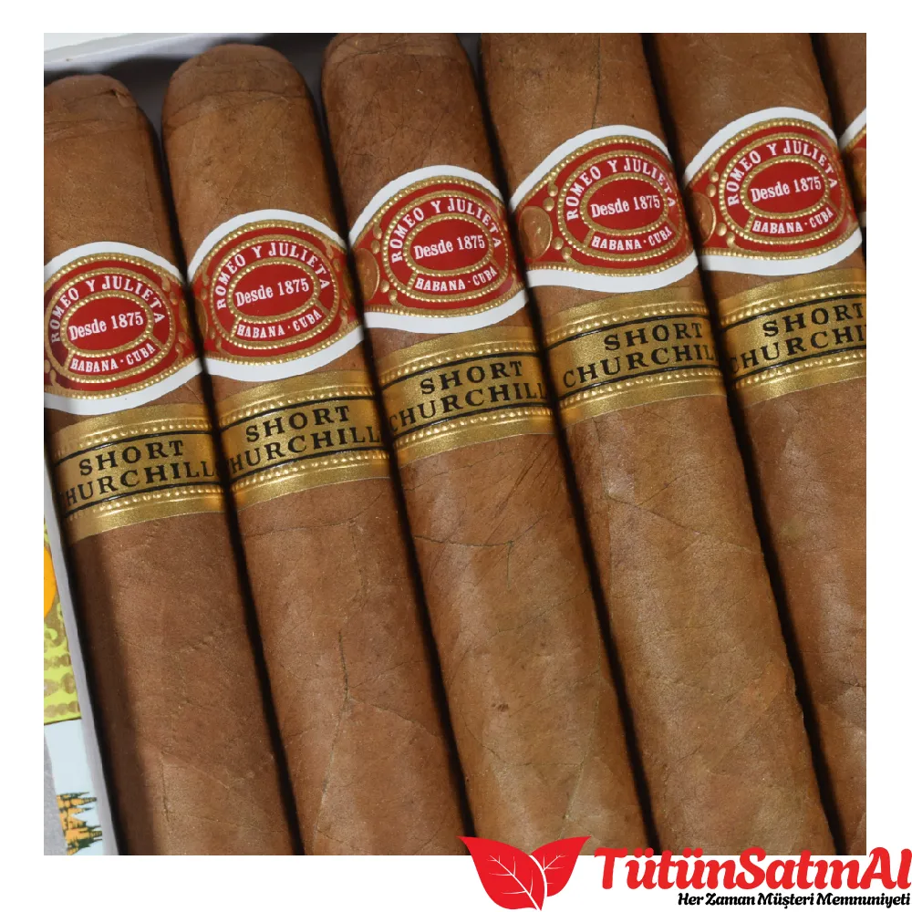 Romeo y Julieta Short Churchill - 10's Puro 2 Romeo y Julieta Short Churchill - 10's Puro - Görsel 2