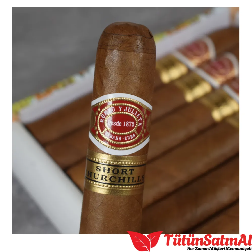 Romeo y Julieta Short Churchill - 10's Puro 4 Romeo y Julieta Short Churchill - 10's Puro - Görsel 4