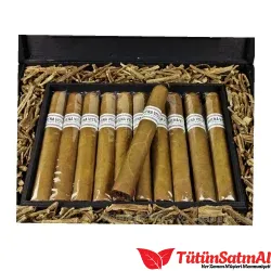 Buena Vista Araperique Toro 20's Puro