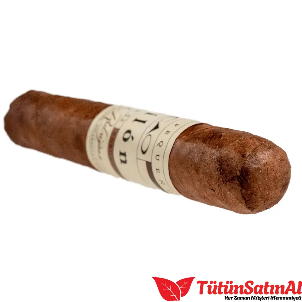 Cao Pilon Robusto Puro - 1 Adet 2 Cao Pilon Robusto Puro - 1 Adet - Görsel 2